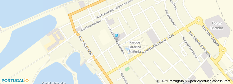 Mapa de Avenida Henrique Galvão