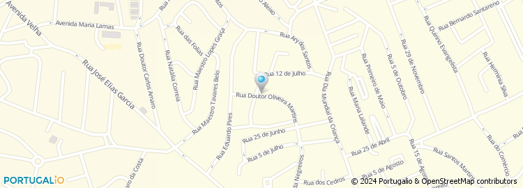 Mapa de Rua Doutor Oliveira Martins