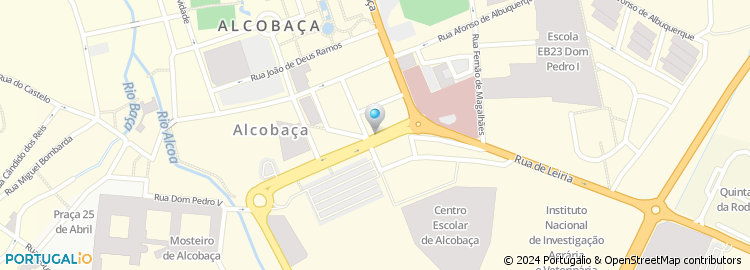 Mapa de Centro de Bem-Estar Infantil, Alcobaça