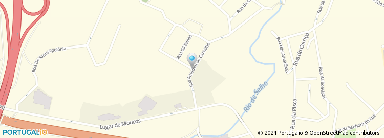 Mapa de Rua Amadeu de Carvalho