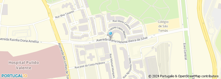 Mapa de Avenida Maria Helena Vieira da Silva