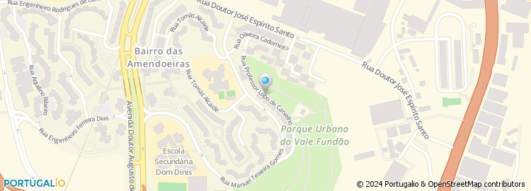 Mapa de Rua Professor Lopo de Carvalho