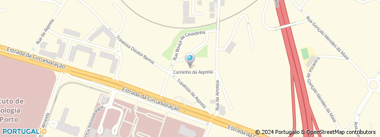 Mapa de Rua Professor Ricardo Alves