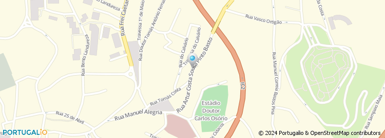 Mapa de Rua Artur Costa Sousa Pinto Basto