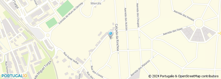 Mapa de Rua Augusto Pires Tavares