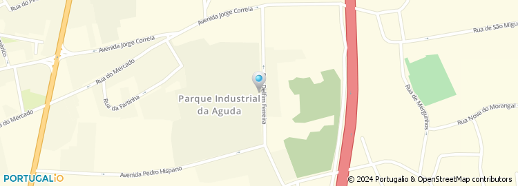 Mapa de Rua Delfim Ferreira