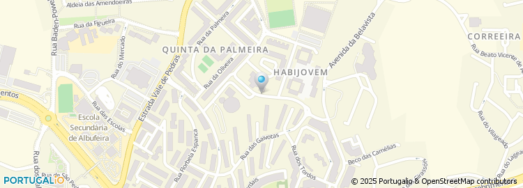 Mapa de Rua da Palmeira