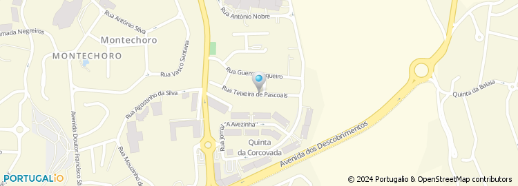 Mapa de Rua Teixeira Pascoais