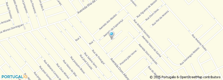 Mapa de Avenida Almirante Azevedo Coutinho