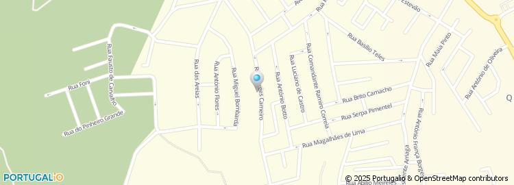Mapa de Rua Borges Carneiro