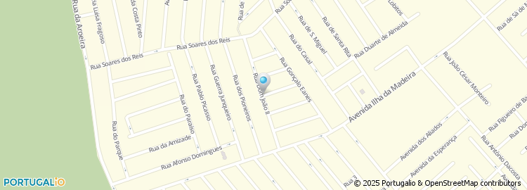 Mapa de Rua Dom João Ii