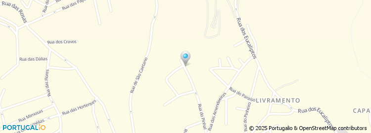 Mapa de Amyuni, Lda