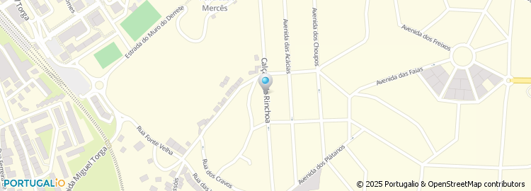 Mapa de Ana M P Cargaleiro Lourenço