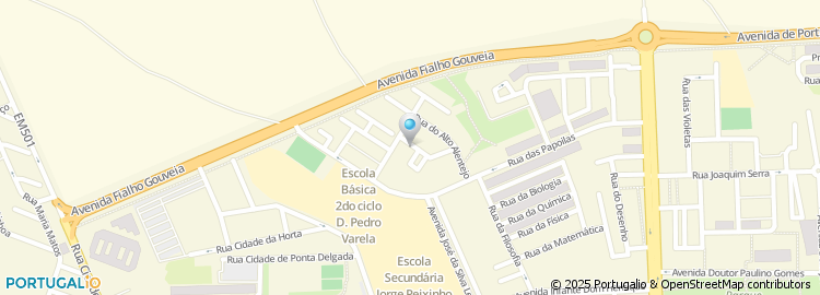 Mapa de Anabela S Camejo Saraiva