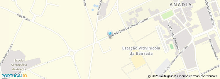 Mapa de Avenida José Luciano de Castro