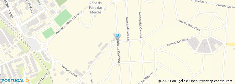 Mapa de Artefacto Imagens - Fotografia