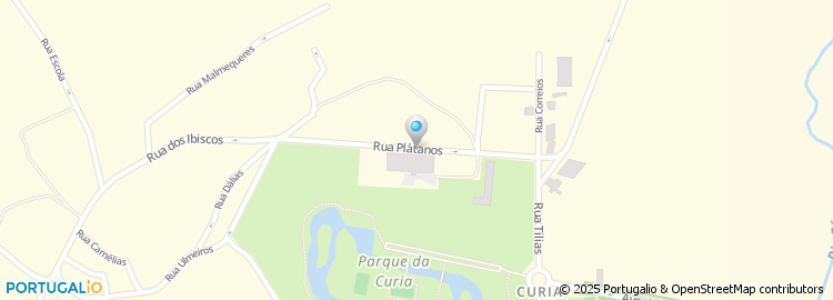 Mapa de Auto Seabra