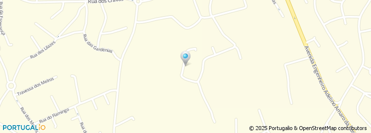 Mapa de Biotorax, Lda