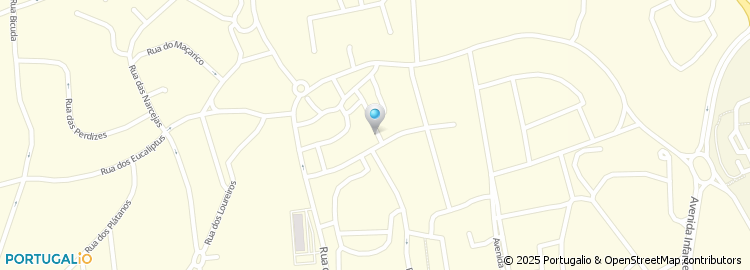 Mapa de Blue Thinking Consultores, Unipessoal Lda