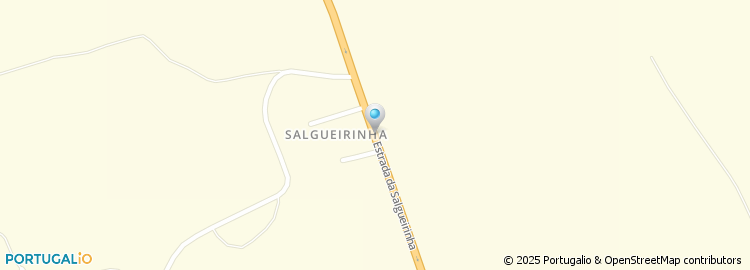 Mapa de Salgueirinha