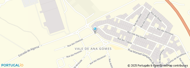 Mapa de Carla M L S Almeida Rodrigues