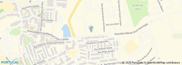 Mapa de Carlos João Ribeiro