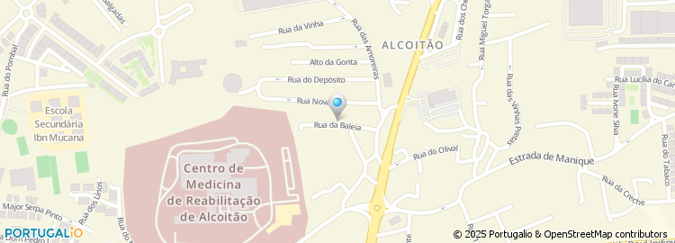 Mapa de Rua da Baleia