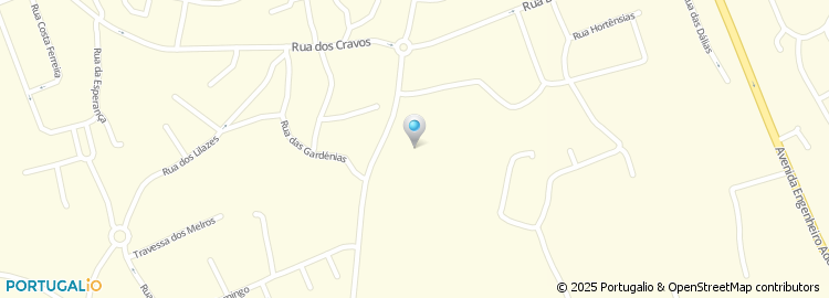 Mapa de Rua João da Câmara Pestana