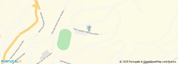 Mapa de Rua Capitão Salgueiro Maia