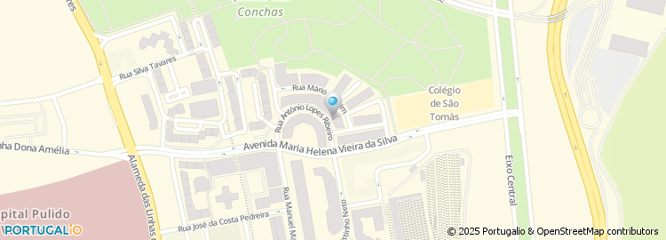Mapa de Cecília Nunes Lda