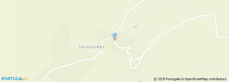 Mapa de Salgueirais