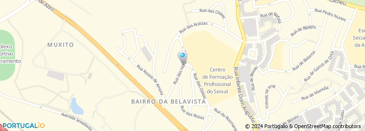 Mapa de Centro Veterinario Fatima Sardinha, Lda