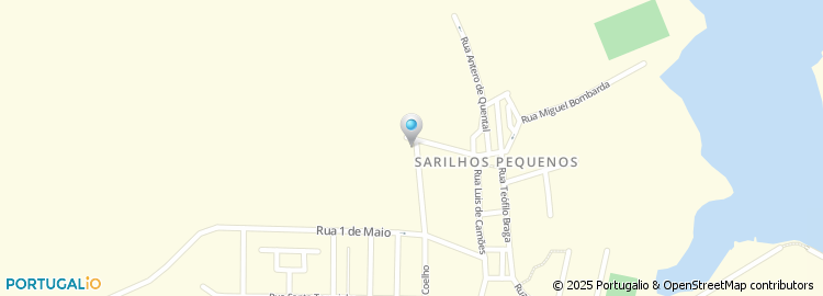 Mapa de Churrasqueira bico amarelo