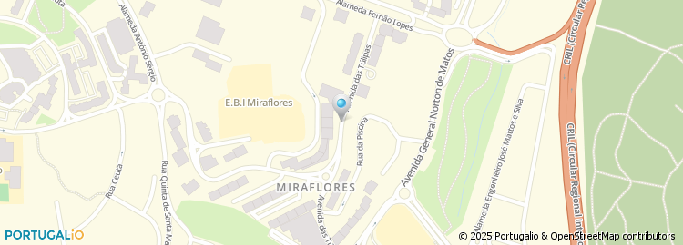 Mapa de Clínica do Pêlo, Miraflores