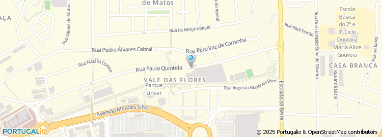 Mapa de Bairro Vale das Flores