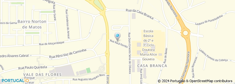 Mapa de Rua Raúl Ferrão