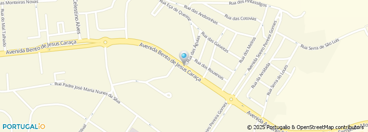 Mapa de Custodio João Silva