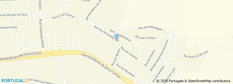 Mapa de David Gomes Macedo