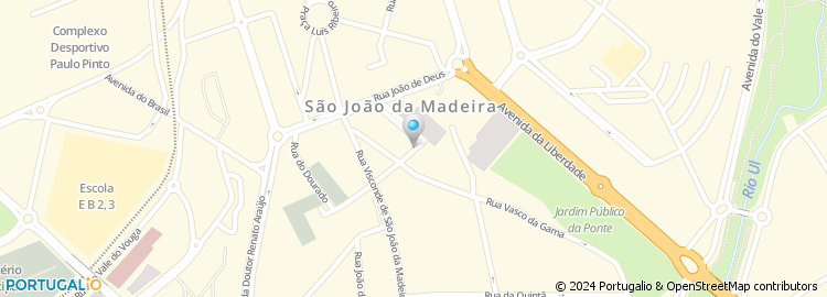 Mapa de Delfim Ferreira Silva