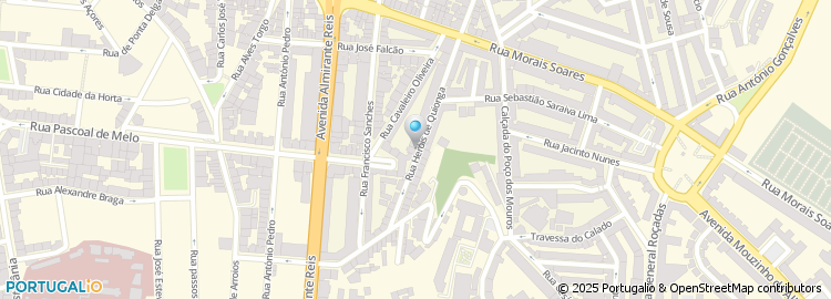 Mapa de Dolphin Crusade, Lda
