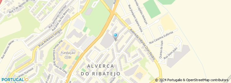 Mapa de Estilos Calçado de Anabela Teixeira Pinto Coelho