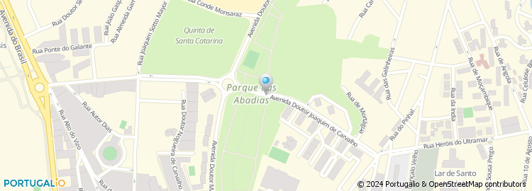 Mapa de Avenida Doutor Joaquim de Carvalho