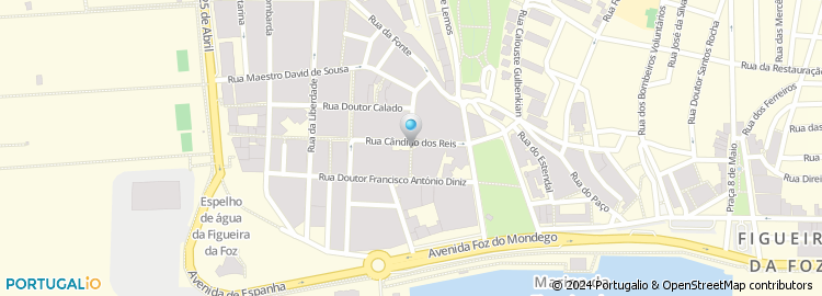 Mapa de Rua João de Lemos