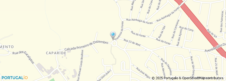 Mapa de Fileiras & Perfis  Lda