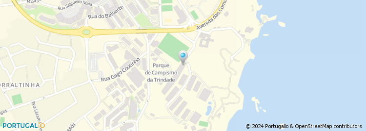 Mapa de Francisco M. Braga Consultants, Lda