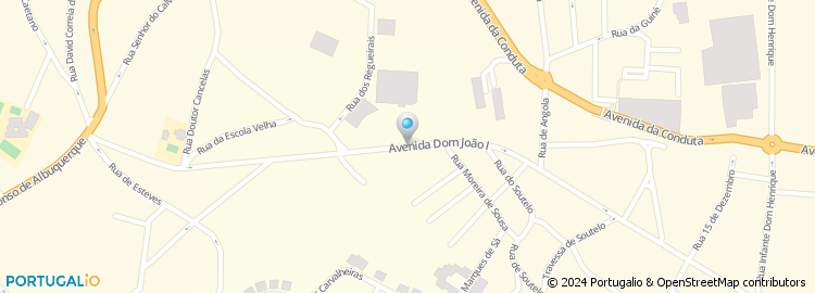 Mapa de Avenida de Dom João i