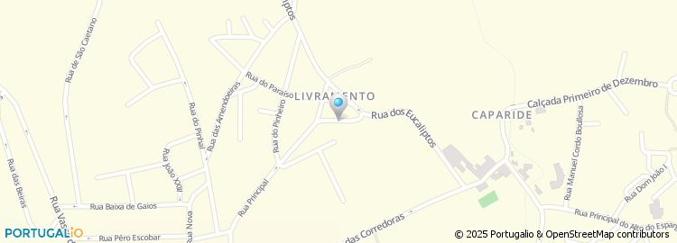 Mapa de Inês Oliveira Cruz, Unipessoal Lda