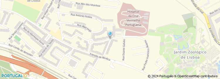 Mapa de Joaquim Gonçalves Martins, Lda