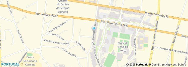 Mapa de Joaquim Silva Martins