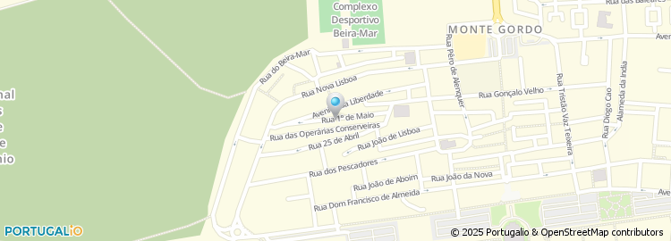 Mapa de Jose Silva Lopes